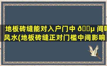地板砖缝能对入户门中 🐵 间吗风水(地板砖缝正对门槛中间影响风水吗 🐟 )
